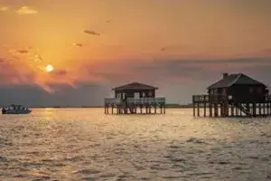 Cap Ferret